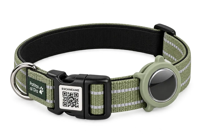 QR de ejemplo en la hebilla del collar