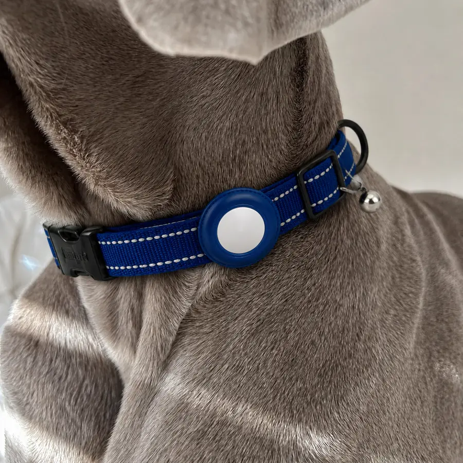 Detalle de un collar azul con bandas reflectivas